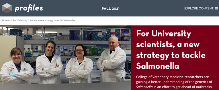 Strategy to tackle Salmonella Profiles preview, Johnson lab